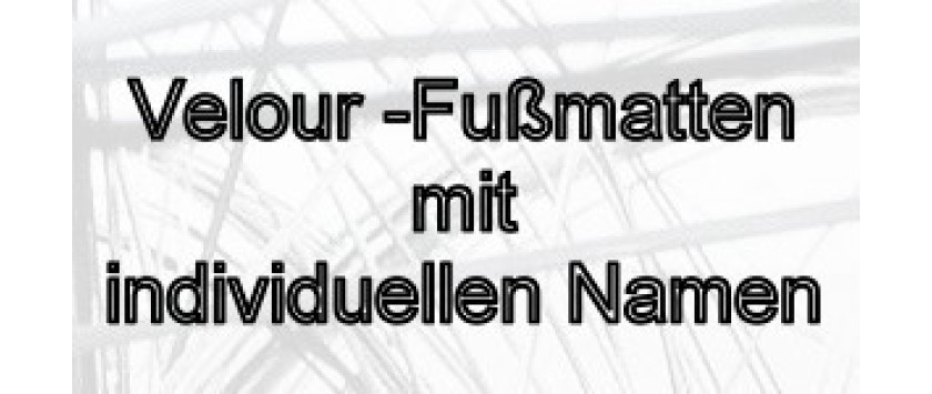 Velours Auto Teppiche Mit Namen Fur Audi Modelle