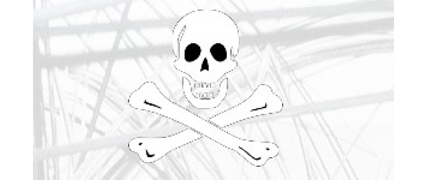 Auto Teppiche Mit Totenkopf Piraten Motiven